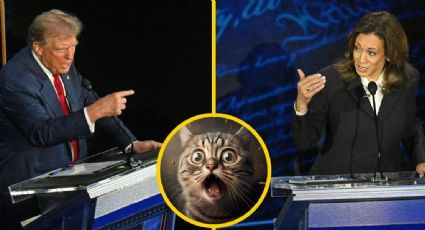 Trump asegura que 'migrantes comen perros y gatos' y otras mentiras en el debate presidencial 2024