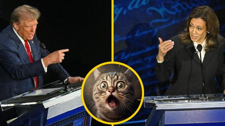 Trump asegura que 'migrantes comen perros y gatos' y otras mentiras en el debate presidencial 2024