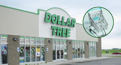 Dollar Tree: compra como experto con estos secretos revelados por empleados