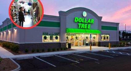 Dollar Tree: estos son los artículos que compra la ‘gente de dinero’ en estas tiendas