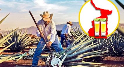 Fiestas patrias: Tamaulipas prepara uno de los mejores tequilas del país; ¿cuál es?