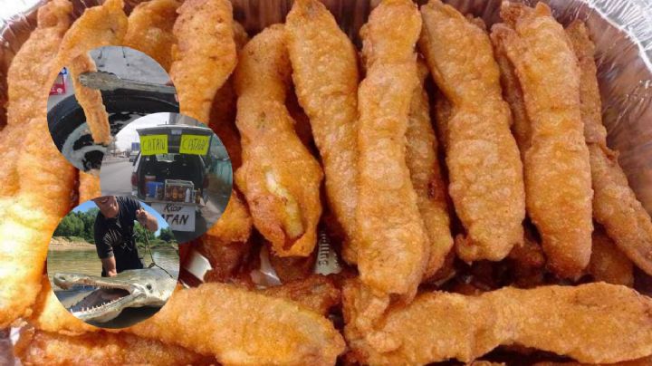 Chicharrón de catán: origen, su particular sabor y su receta secreta