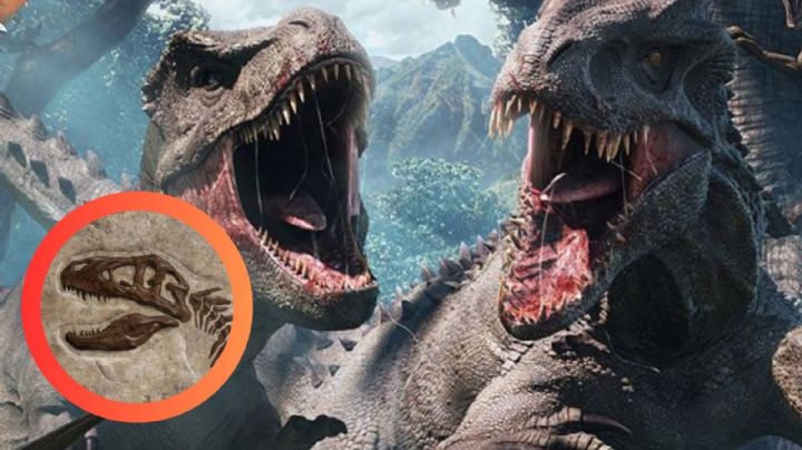 ¿Cuánto tiempo podía vivir un dinosaurio? Así era la esperanza de vida en el período Jurásico