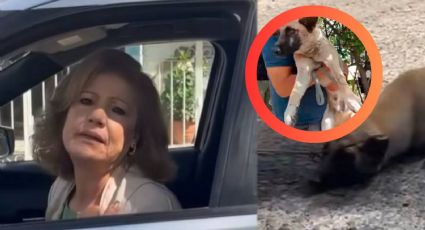 Mujer arrastra a un perro callejero con su camioneta; queda detenida | VIDEO