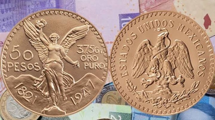 Centenario en México: ¿cuánto cuesta y dónde comprarlo?