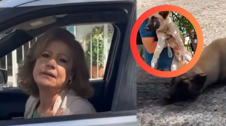 Mujer arrastra a un perro callejero con su camioneta; queda detenida | VIDEO