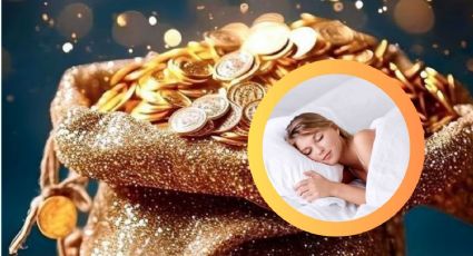 ¿Qué planta debes poner debajo de tu almohada antes de dormir para atraer DINERO en octubre?