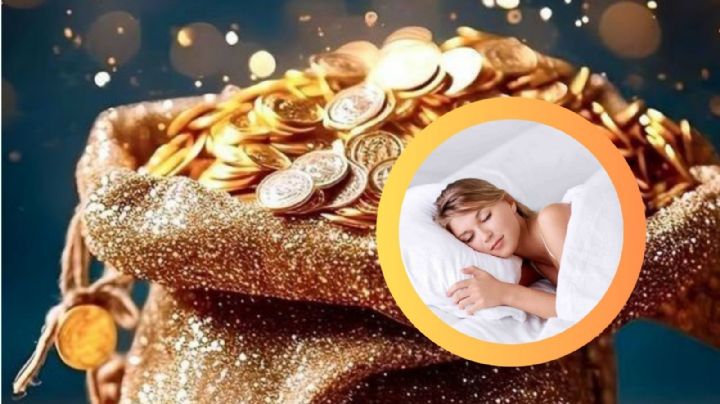 ¿Qué planta debes poner debajo de tu almohada antes de dormir para atraer DINERO en octubre?