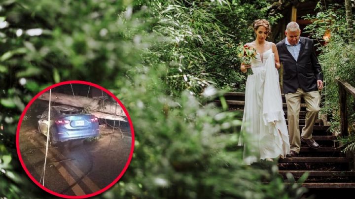 ¿Mal presagio? Novia intenta llegar a la boda y un árbol le cayó encima a su auto | VIDEO