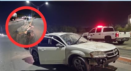 Conductor destroza su carro en la avenida Monterrey al chocar contra camellón; huyó del lugar