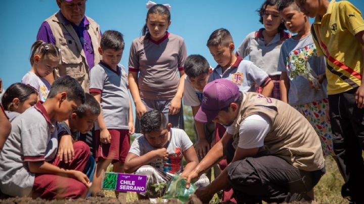 Habilita DIF Tamaulipas nuevos huertos escolares en 10 municipios del estado