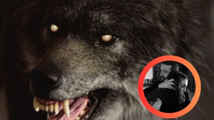 Lobos 'secuestran' y mutilan a 7 niños; salen de los matorrales y atacan por las noches