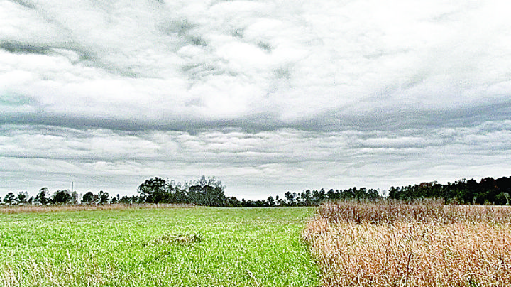 Pronostican clima con las cabañuelas