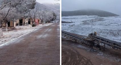 Sorprende nevada en Coahuila; ¿cuándo caerá nieve en Arteaga?