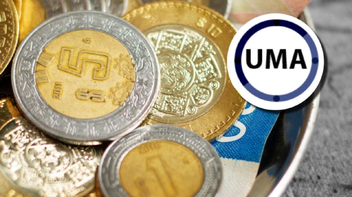 Aumenta la UMA en febrero de 2025: cambiará costo de trámites y multas en México