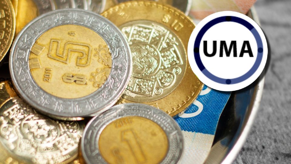 UMA 2025: ¿cuánto aumentará y cómo afectará a trámites y multas?