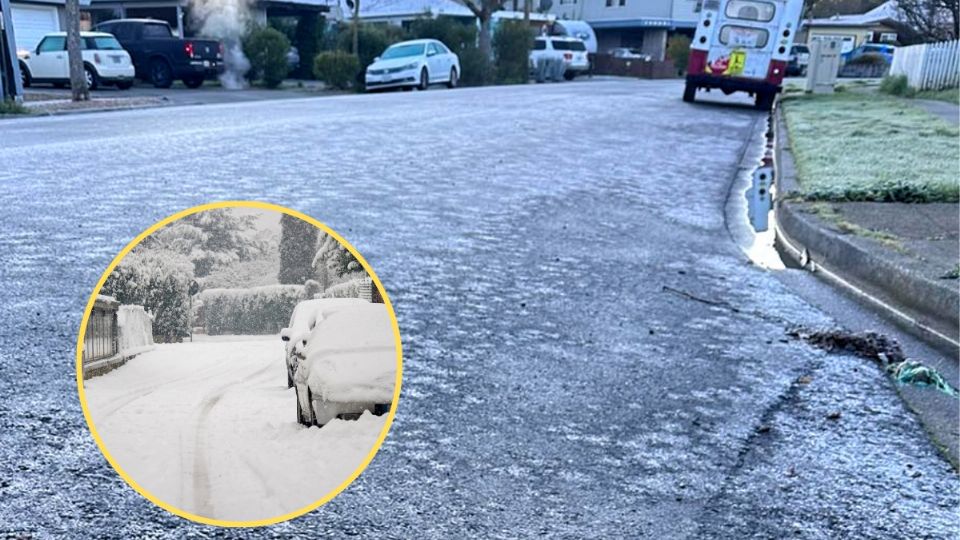 Este fenómeno ha provocado accidentes viales