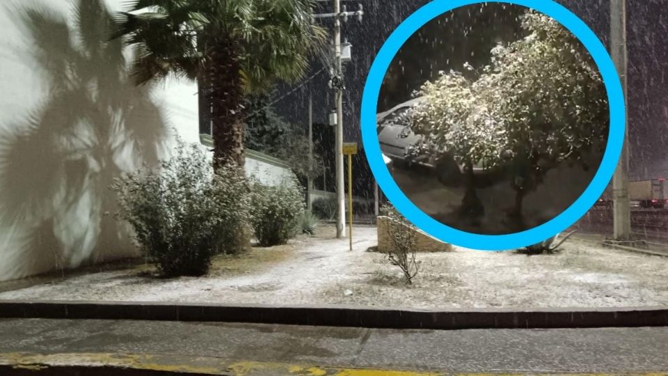 La gente disfrutó de la presencia de nieve.