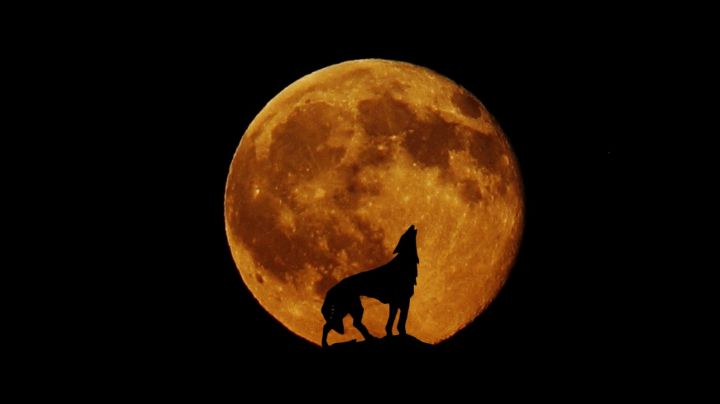 Luna del Lobo: la primera luna llena del 2025 y su majestuoso espectáculo nocturno