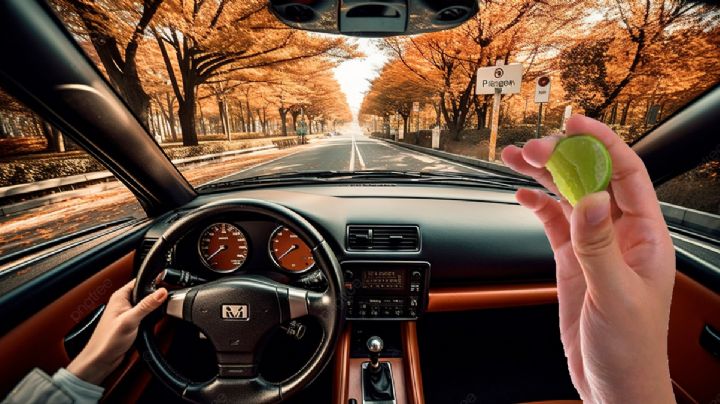 ¿Por qué siempre es bueno cargar limones al viajar en tu auto en carretera?