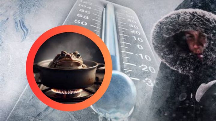 Síndrome del Sapo Hervido: así están reaccionando muchas personas al invierno; ¿de qué se trata?