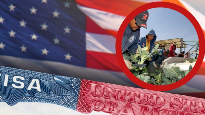 Estados Unidos: ofrecen 10 empleos para trabajar en suelo americano con visa H-2A; de qué se trata