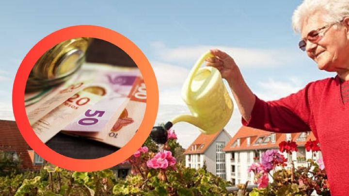 Multa de 600 mil pesos si tienes en casa esta planta ilegalmente en casa; es protegida por SEMARNAT