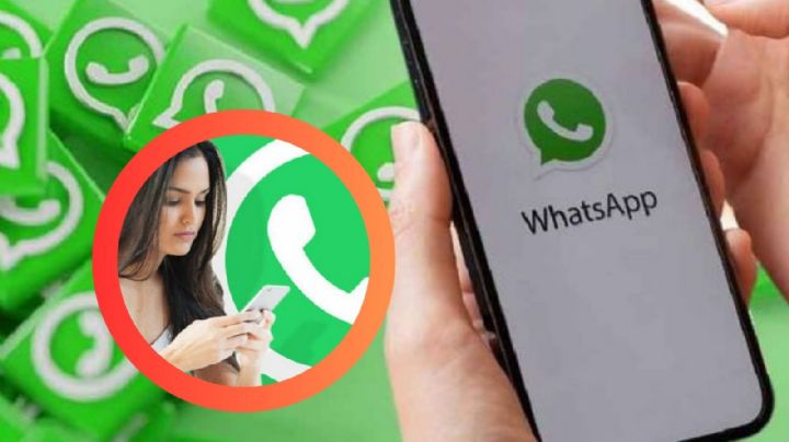 Así puedes acceder a tus archivos borrados en tu papelera de WhatsApp