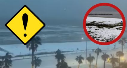 Texas: playas del estado se pintan de blanco; este es el extraño fenómeno que causó las nevadas