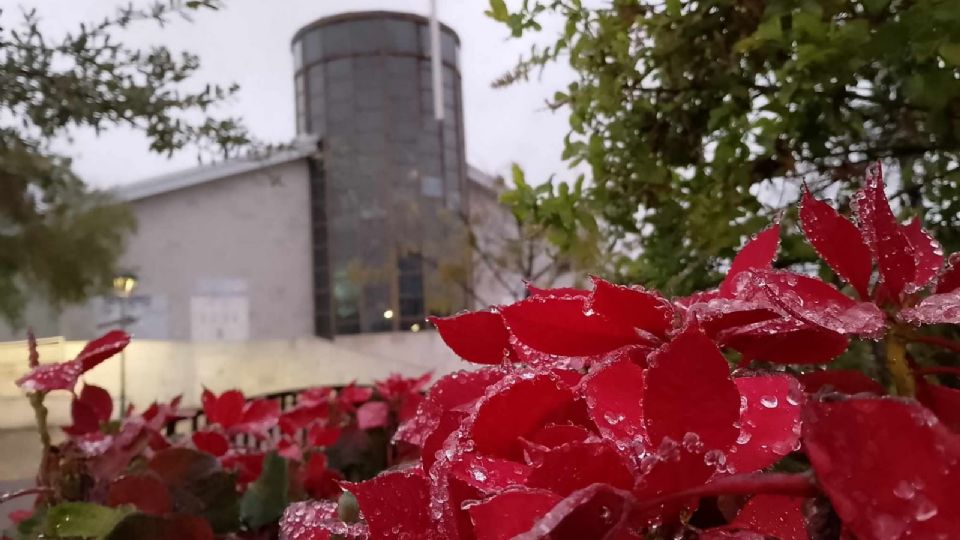 La ciudad fronteriza vivió una verdadera tormenta invernal al romper el rango de los 0 grados esta madrugada de martes