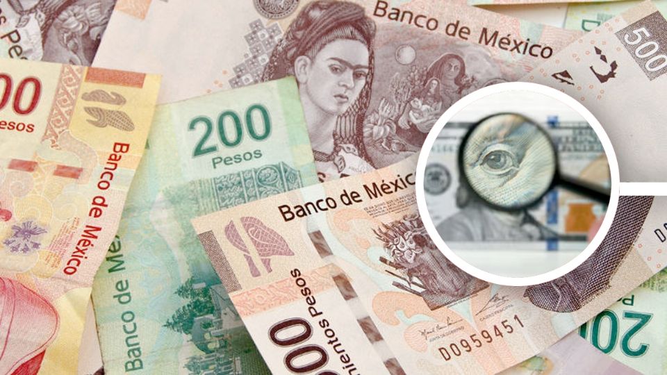 ¡Mucho ojo con los billetes falsificados!