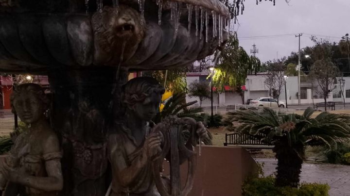 Así fue como se congelaron los dos Laredos; helada causó afectaciones