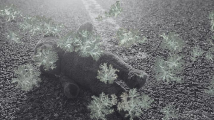 Borracha y negligente: madre expone a su bebé a temperaturas congelantes