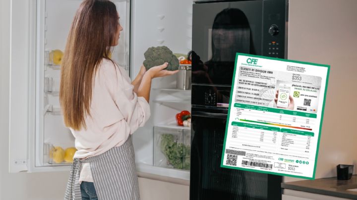 CFE: si tienes estos electrodomésticos, podría salir más caro tu recibo de luz