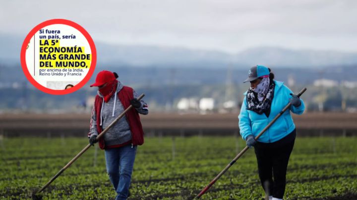 Latinos representan un pilar económico fuerte en EU; 'las deportaciones son una idea errónea'