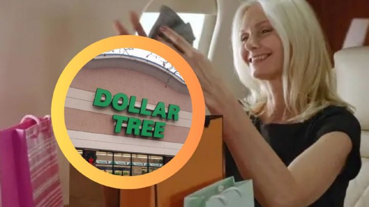 Dollar Tree en 2025: los productos que hasta los más ricos compran allí