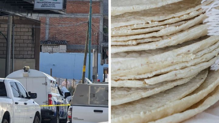 Masacre en Guanajuato: ataque en tortillería deja 4 muertos; hallan 70 casquillos percutidos