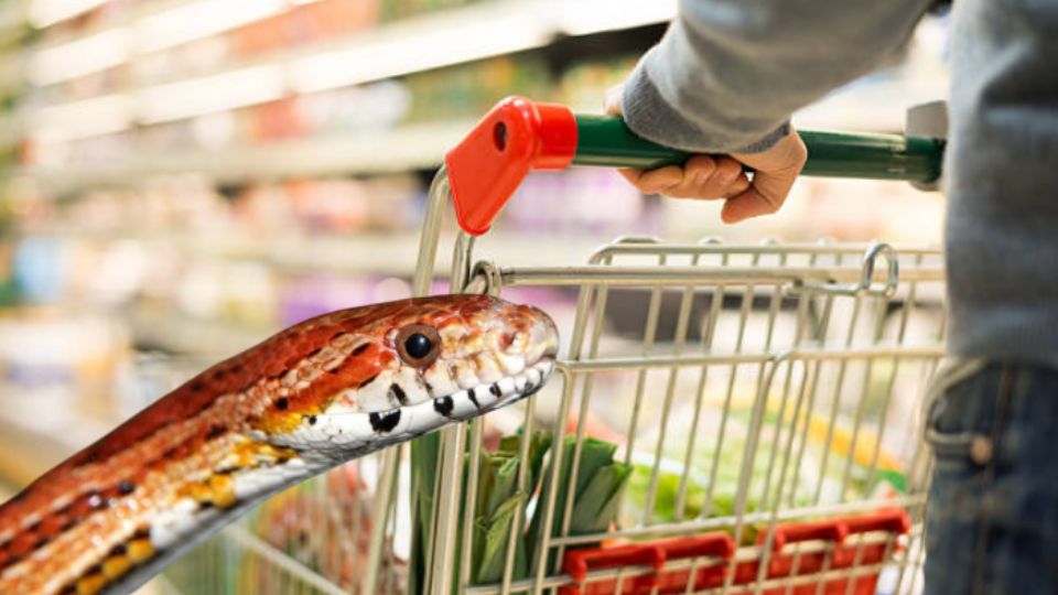 Serpiente en supermercado