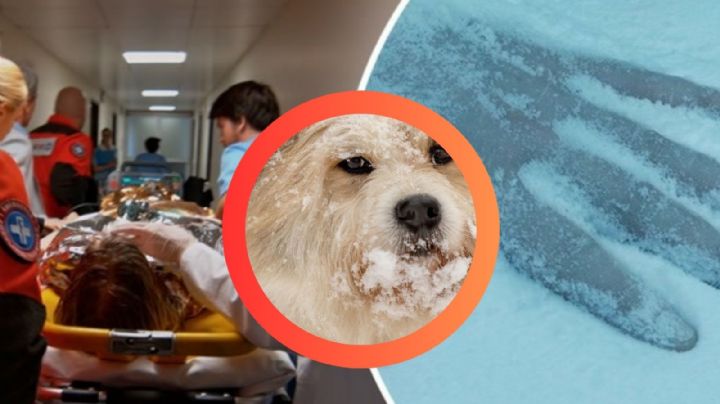 Mujer fallece 'congelada' tras sacar a su perro al patio; solo usaba una pijama