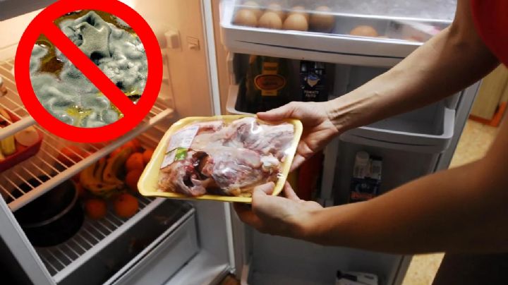Evita enfermedades; esta es la temperatura y tiempo ideal para dejar tus alimentos en el refrigerador
