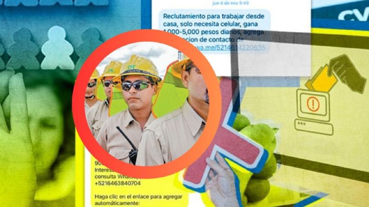 CFE: ¿cómo saber si una vacante de trabajo a nombre de la Comisión es real?