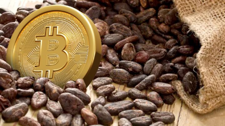 Olvídate del Bitcoin, compra cacao y vuélvete millonario