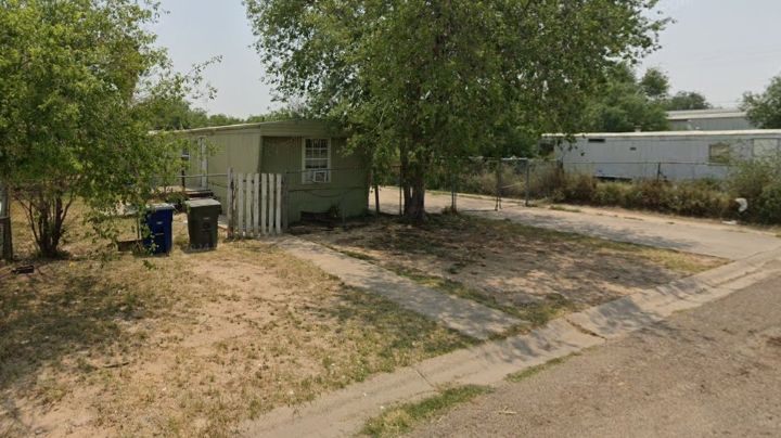 Arrestan a mujer por crueldad animal; tenía dos perros desnutridos y delgadez extrema