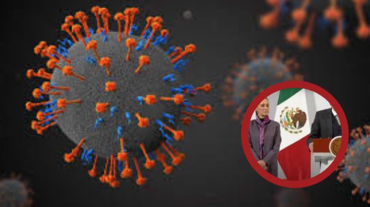 'HMPV no representa una amenaza para México': David Kershenobich