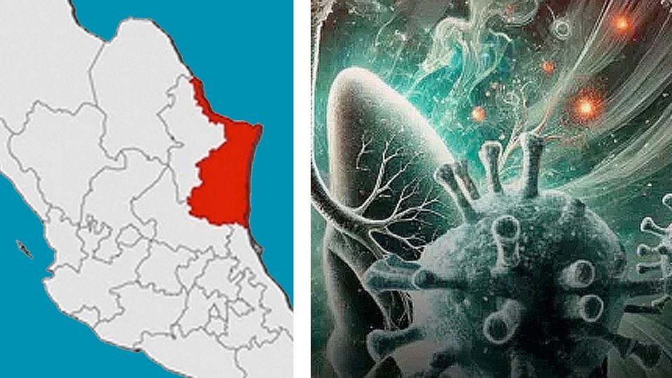 Metapneumovirus en Tamaulipas