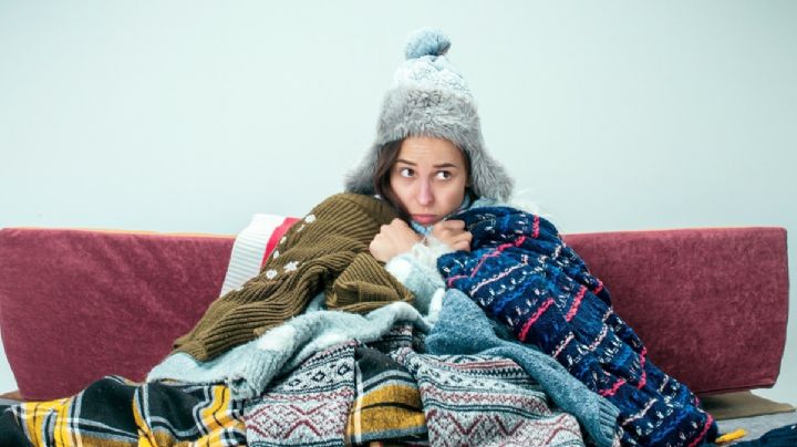 ¡Mi casa es muy fría!, ¿qué hago?: siete consejos prácticos para mantener tu hogar calientito