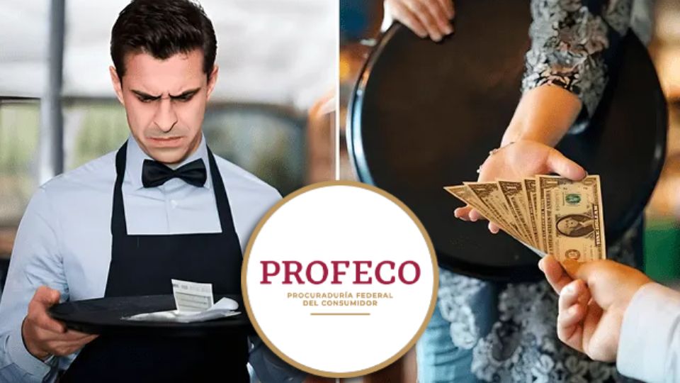 Si te ves en una situación de abuso en cualquier lugar, la Profeco recomienda denunciarlo directamente con la dependencia