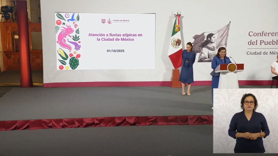 Las principales zonas afectadas fueron las alcaldías Iztapalapa, Tláhuac y Gustavo A. Madero, así como el municipio de Nezahualcóyotl, donde el nivel de agua rebasó los 91 milímetros