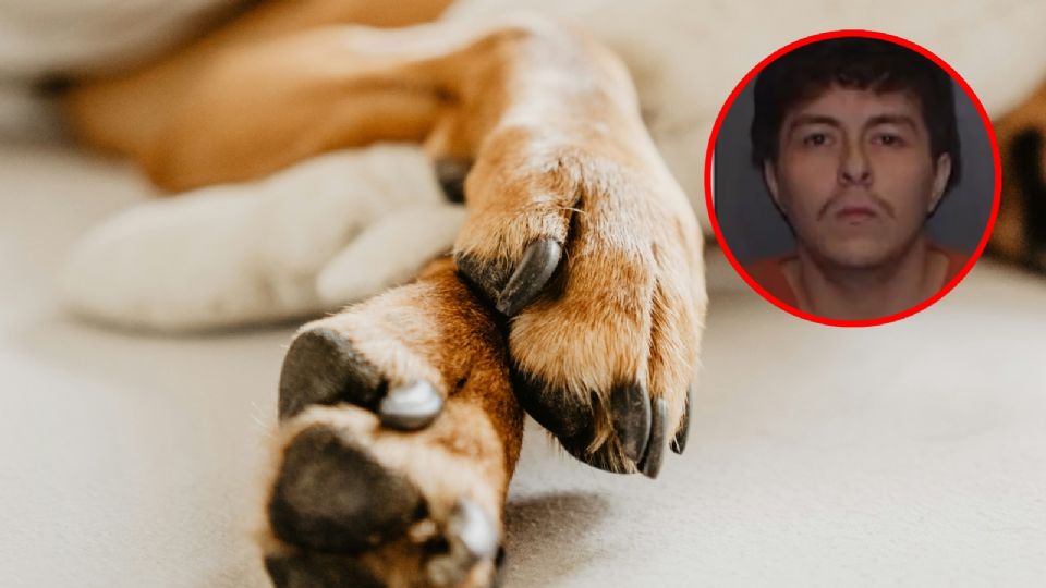 Hombre obliga a otro a cavar una tumba; había atropellado a su perro