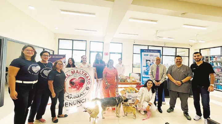 Nuevo Laredo: donan alimento para perritos callejeros